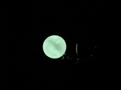 Deko Glaskugel transparent oder Frosteffekt, 16 mm, nachtleuchtend, 1 Stck.
