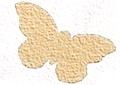 Acrylfarbe creme
