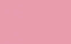 Blumenseide von URSUS®, gefaltet, 50 x 70 cm, flamingo-dunkelrosa, 5 Bögen
