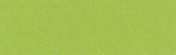Tonzeichenpapier DIN A 4 von URSUS®, hellgrün, 1 Bogen