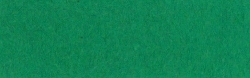 Tonzeichenpapier DIN A 4 von URSUS®, tannengrün, 10 Bögen